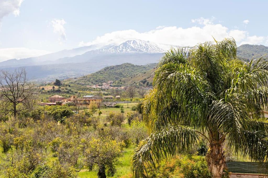 Villa Graziosa Траппителло Экстерьер фото